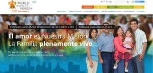 Portada WEB JMF 2015 Español